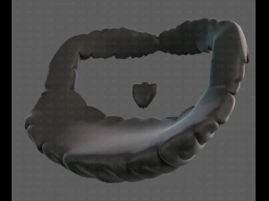 beard v18 3D Model