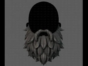 beard v19 3D Model