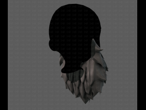 beard v19 Modello 3D