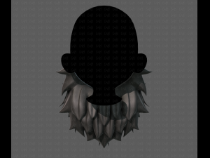 beard v19 Modello 3D