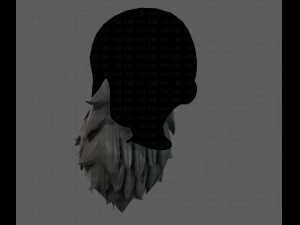 beard v19 3D Model