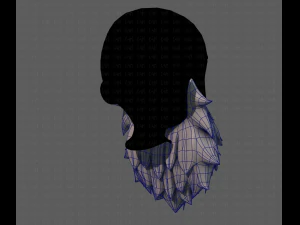 beard v19 3D Model