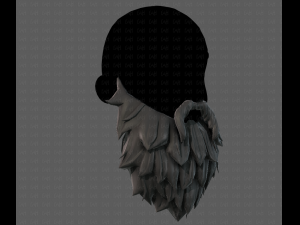 beard v19 Modello 3D
