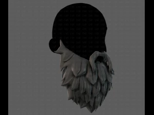 beard v19 3D Model