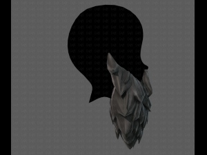 beard v19 Modello 3D
