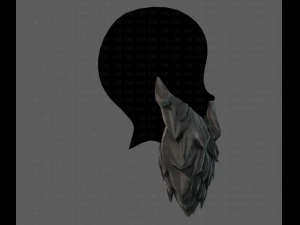 beard v19 3D Model