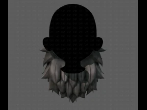 beard v19 3D Model