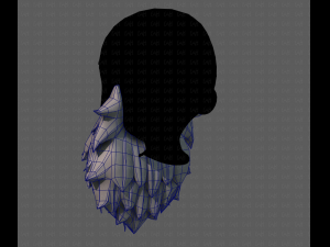 beard v19 Modello 3D