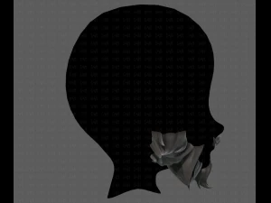 beard v20 3D Model