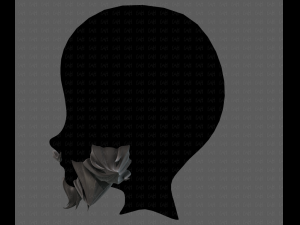 beard v20 Modèle 3D