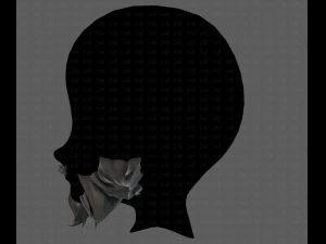 beard v20 3D Model