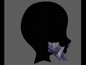beard v20 Modèle 3D