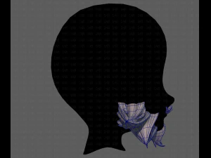 beard v20 3D Model