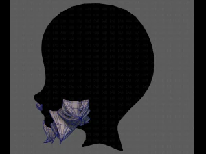beard v20 3D Model