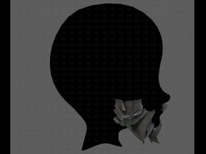 beard v20 3D Model