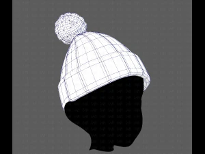 cap v02 3D Model