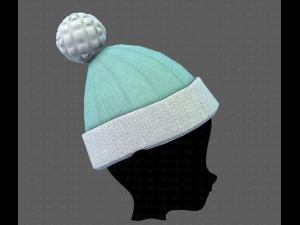 cap v02 3D Model