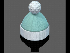 cap v02 3D Model