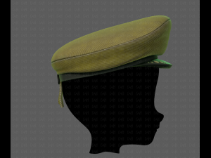 cap v05 3D 모델