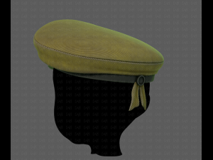 cap v05 3D 모델