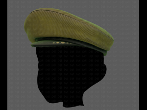cap v05 3D 모델