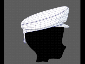 cap v05 3D 모델
