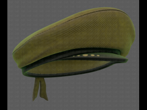 cap v05 3D 모델