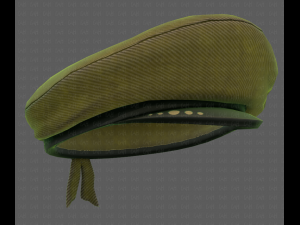 cap v05 3D 모델