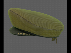 cap v05 3D 모델