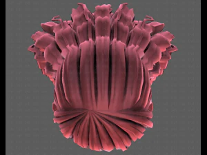 3d зачіска для дівчини v96 3D Модель