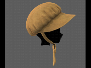 cap v09 3D मॉडल