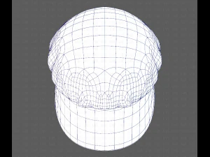 кришка v09 3D Модель