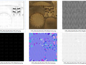 кришка v09 3D Модель