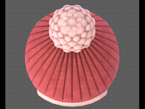 cap v10 3D Модель
