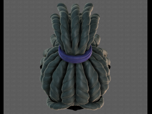 3d hair style for boy v78 3D Модель