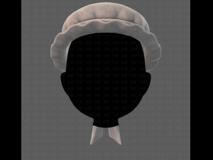 cap v11 3D मॉडल