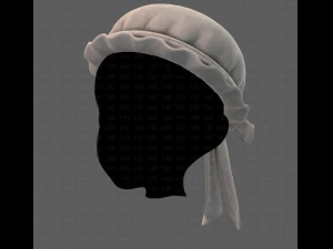 cap v11 3D Model