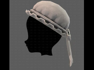 cap v11 3D Model