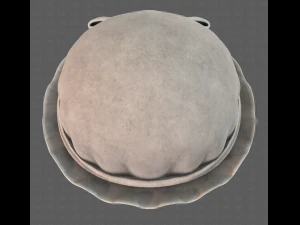 cap v11 3D Model