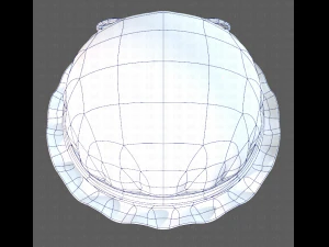 cap v11 3D Model
