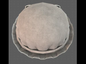 cap v11 3D Model