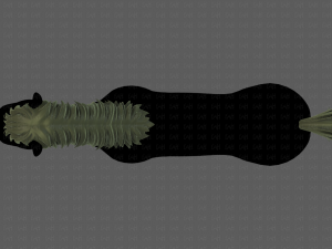 horse mane and tail v01 3Dモデル