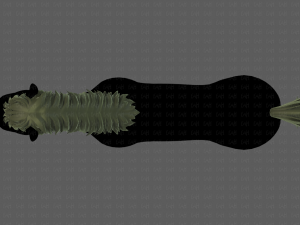 horse mane and tail v01 3Dモデル