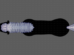 horse mane and tail v01 3Dモデル