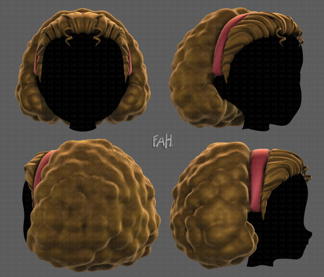 3D Hair style for girl V97 Model 3D .c4d .max .obj .3ds .fbx .stl .blend 