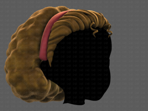 3D Hair style for girl V97 Model 3D