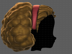 3D Hair style for girl V97 Model 3D