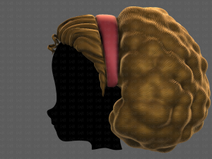 3D Hair style for girl V97 Model 3D