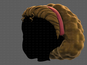 3D Hair style for girl V97 Model 3D