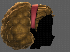 3D Hair style for girl V97 Model 3D